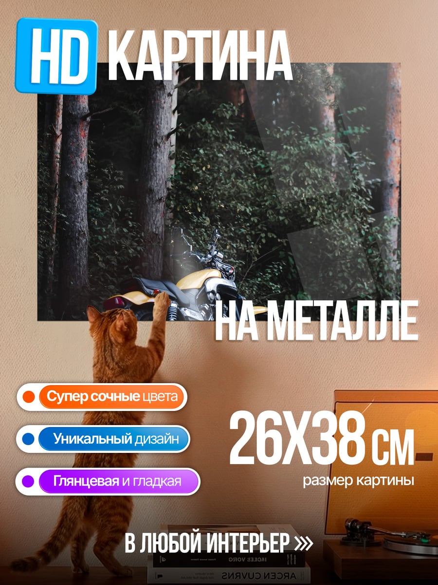 Картина на металле Мотоцикл в лесу