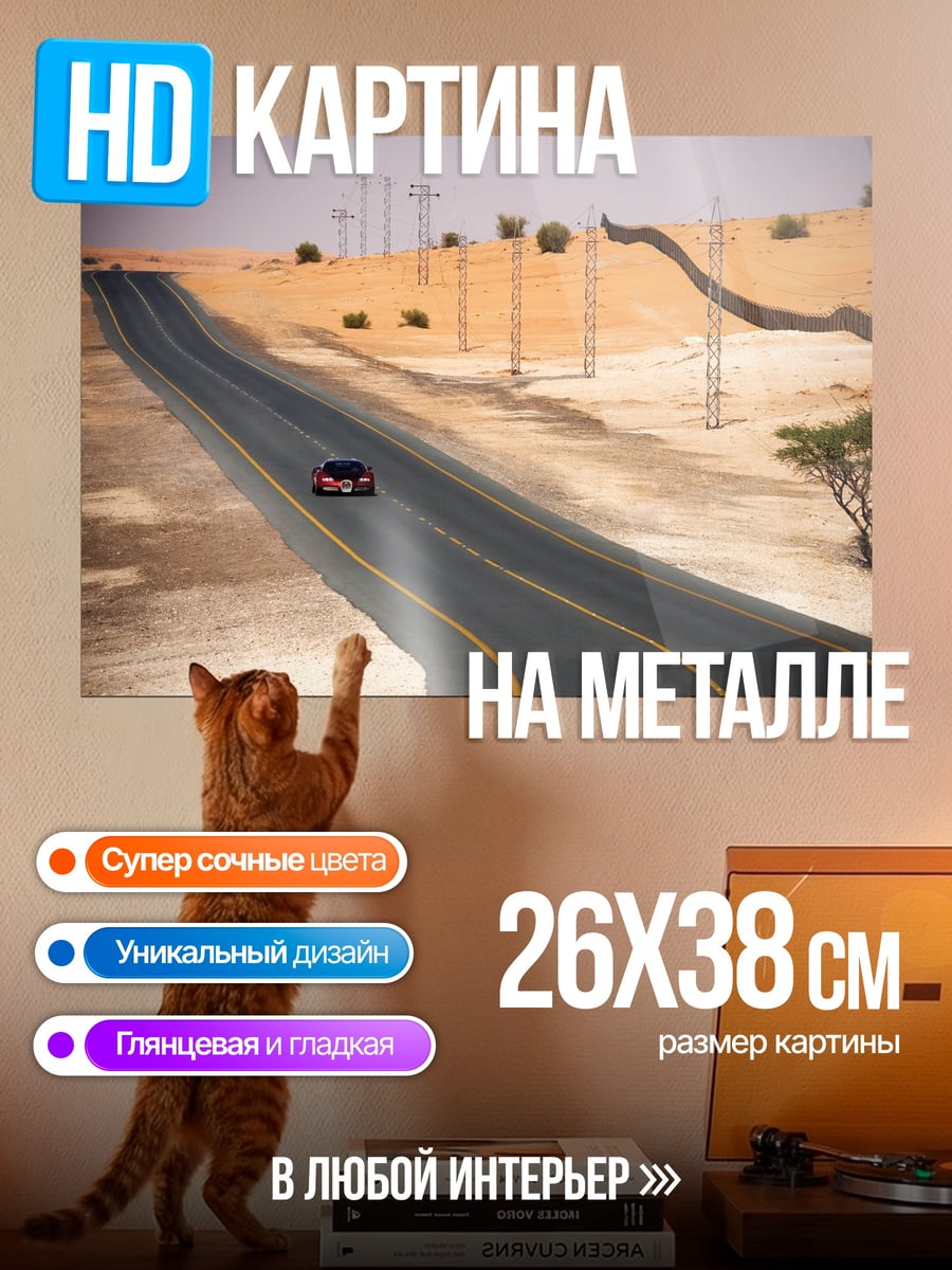 Картина на металле Пустынная дорога