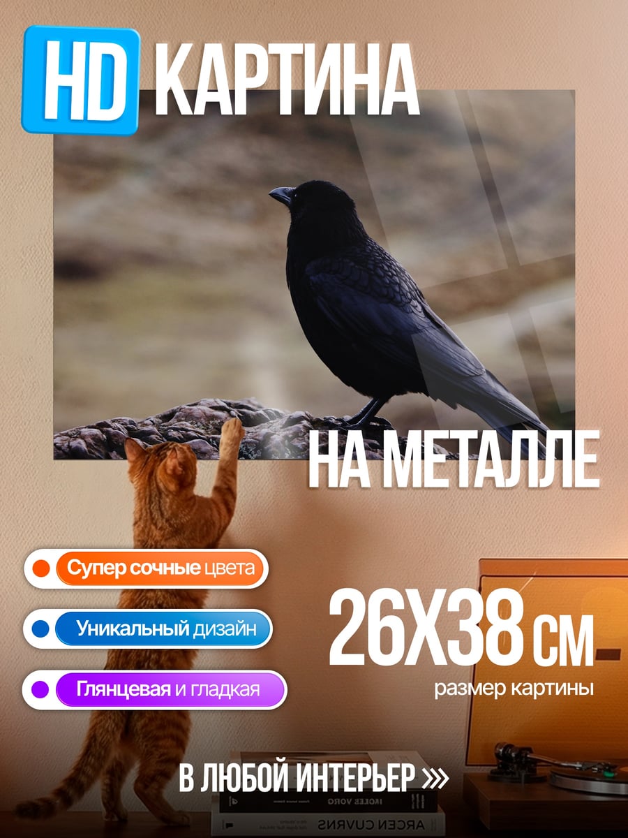 Картина на металле Черная птица