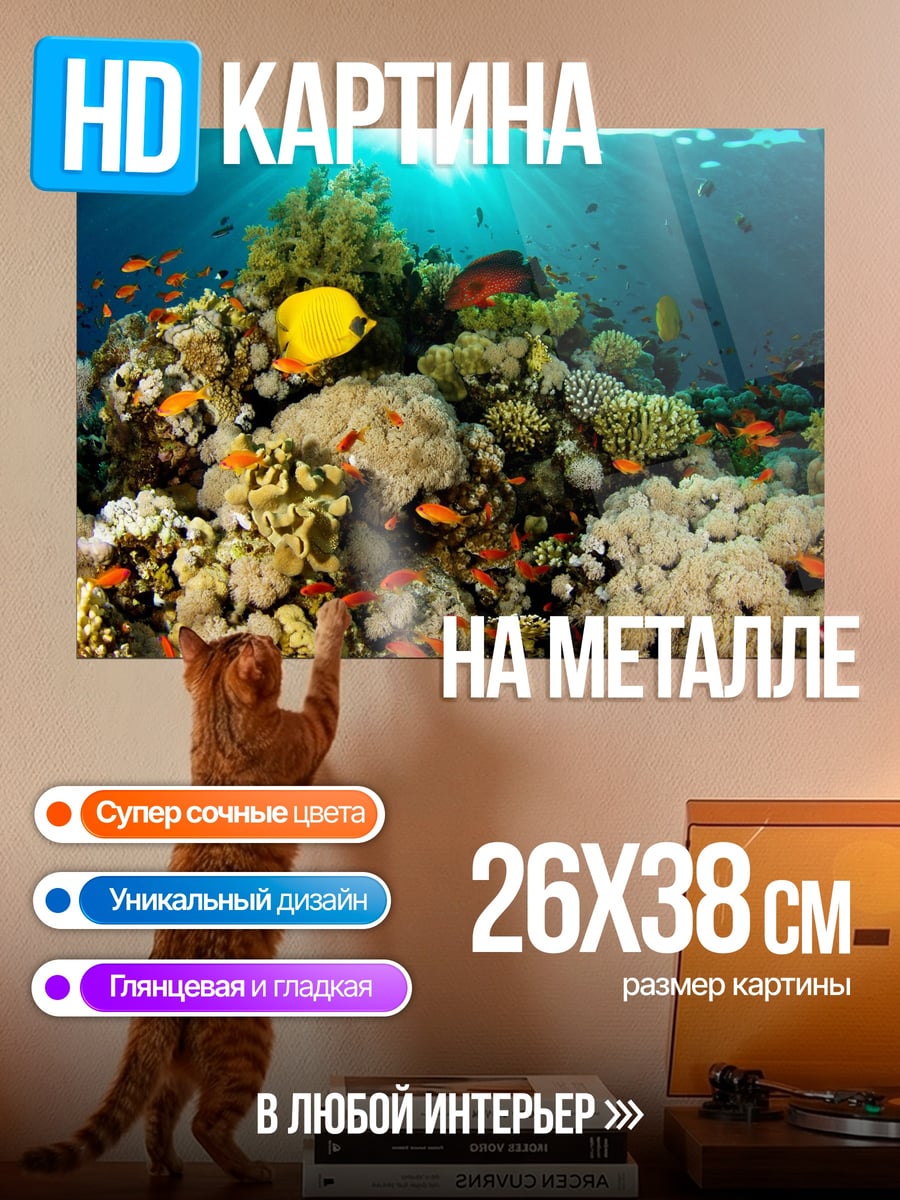 Картина на металле Коралловый риф