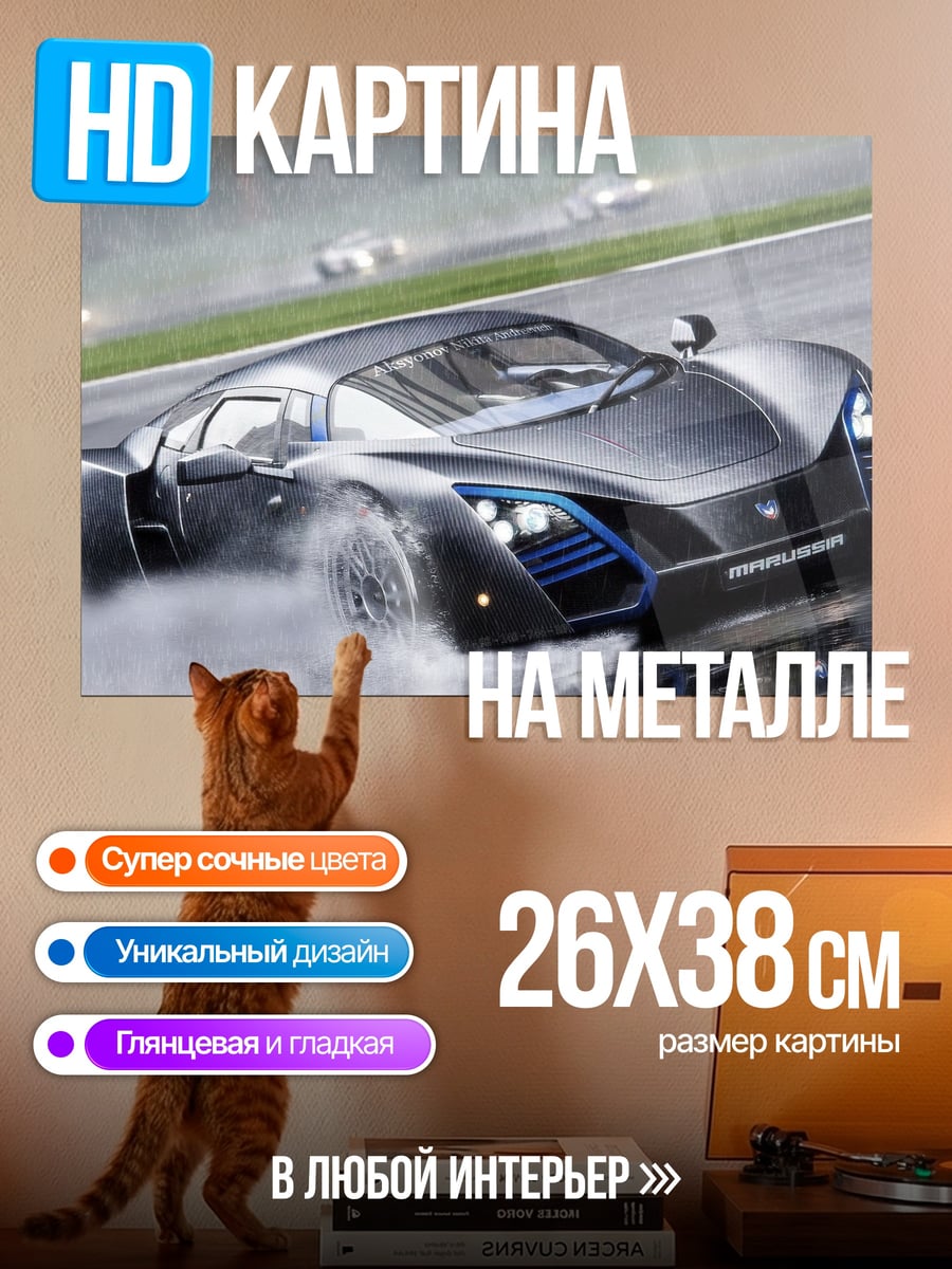 Картина на металле Гоночный автомобиль