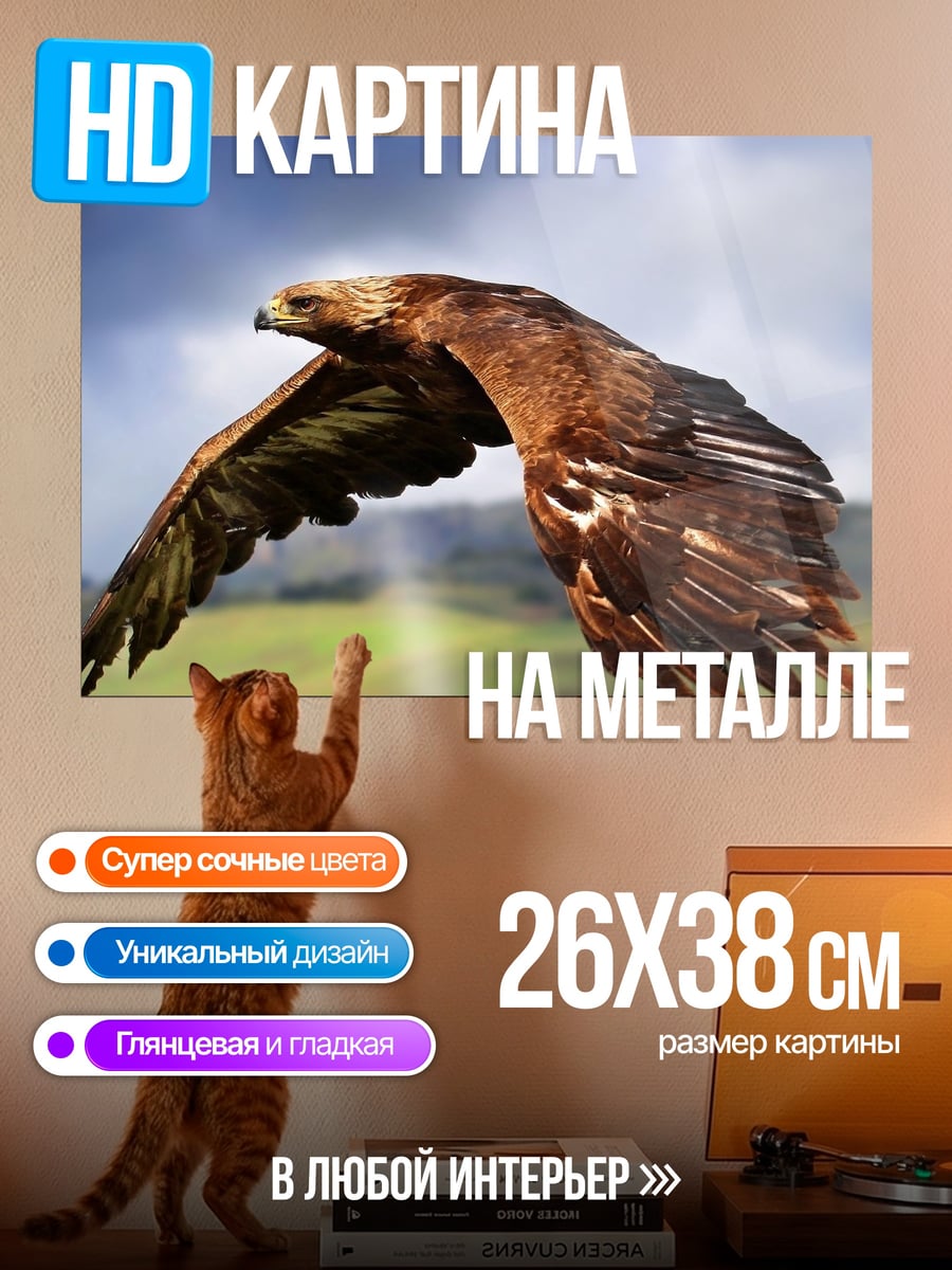 Картина на металле Орел в полете