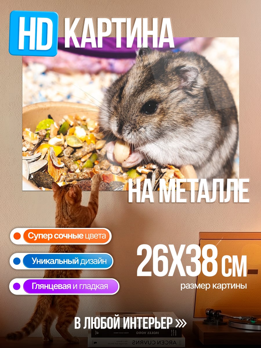 Картина на металле хомяк ест корм