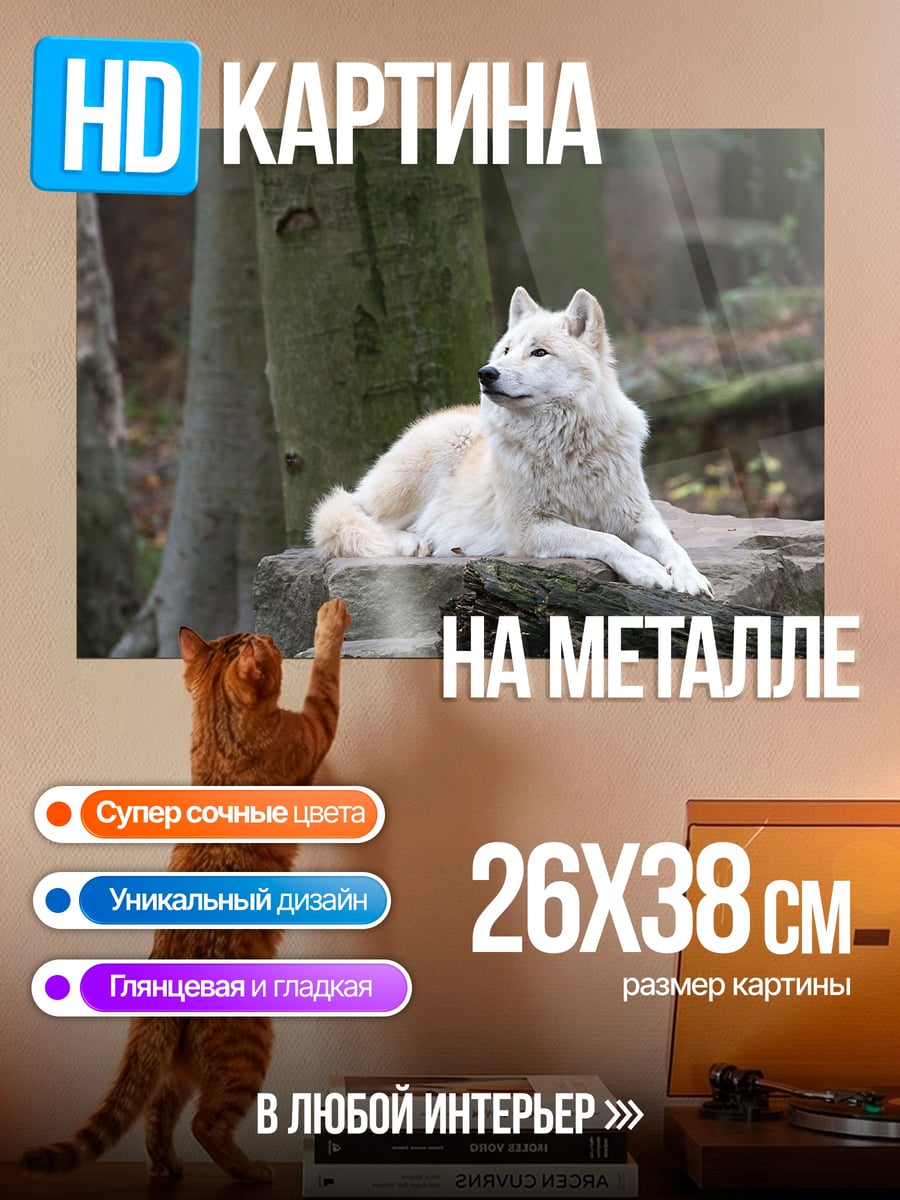 Картина на металле белый волк лес