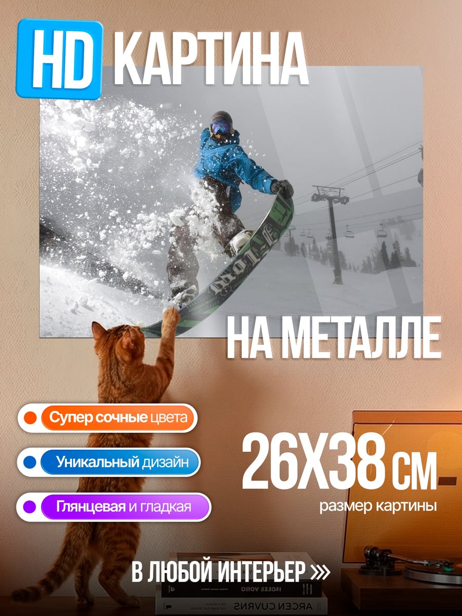 Картина на металле Сноубордист в полете