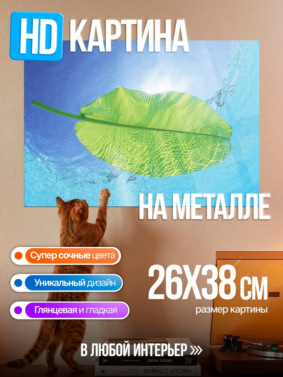 Картина на металле зеленый лист воде