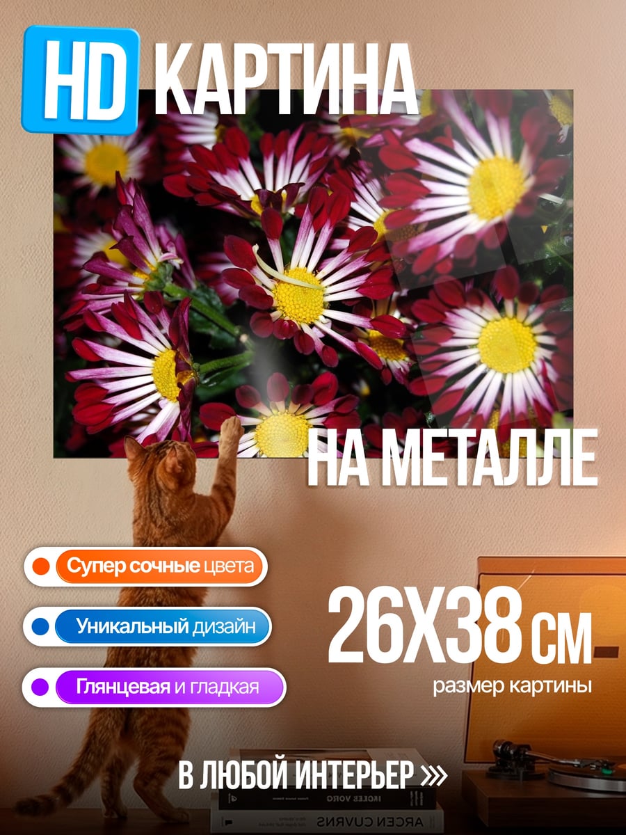 Картина на металле красные хризантемы букет