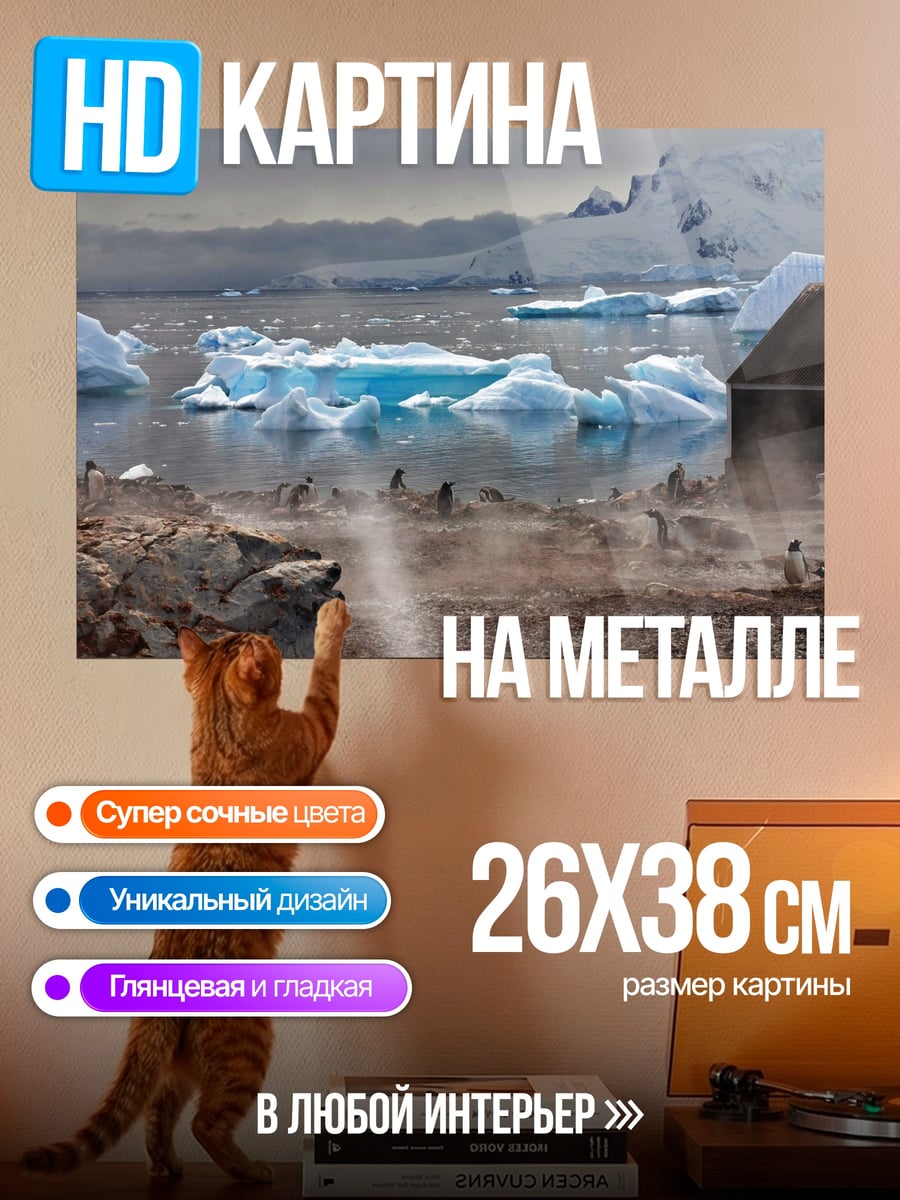 Картина на металле антарктида айсберги пингвины