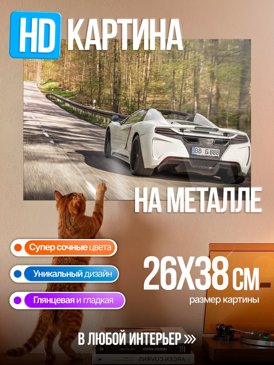 Картина на металле белый спорткар в лесу