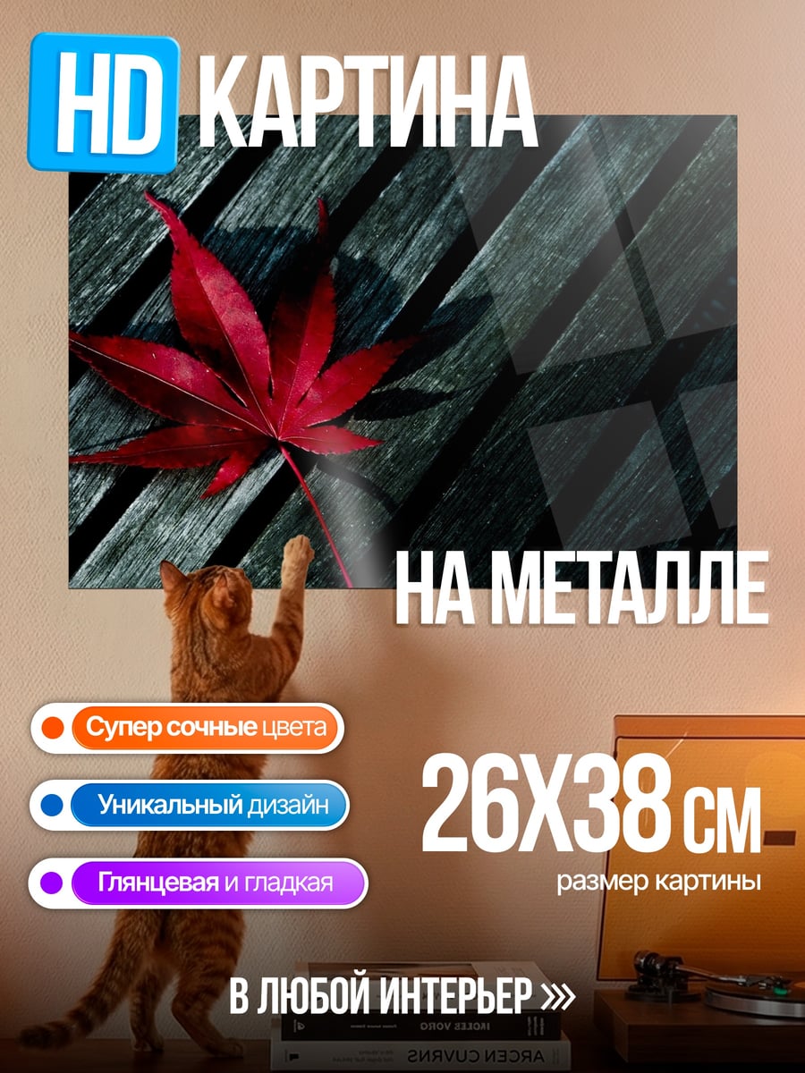 Картина на металле Красный кленовый лист