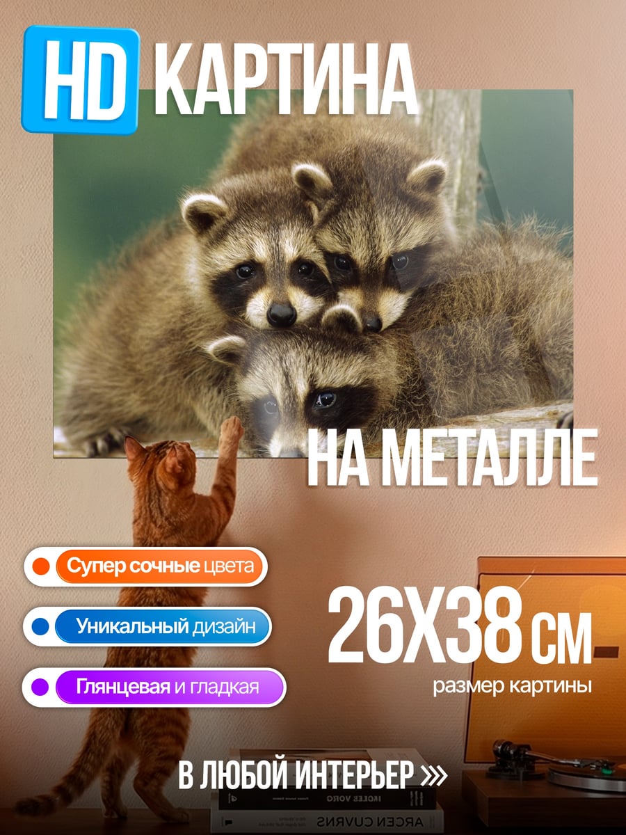 Картина на металле семья енотов
