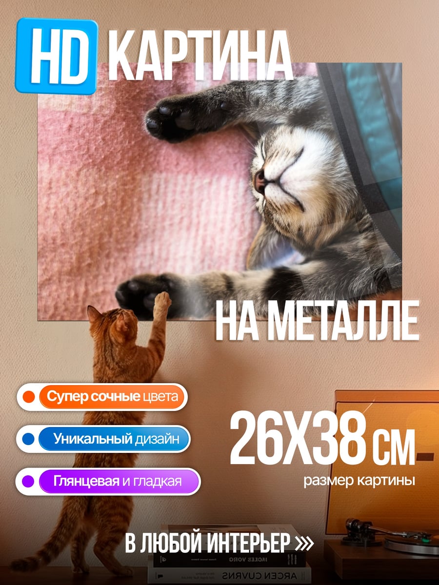 Картина на металле Спящий кот