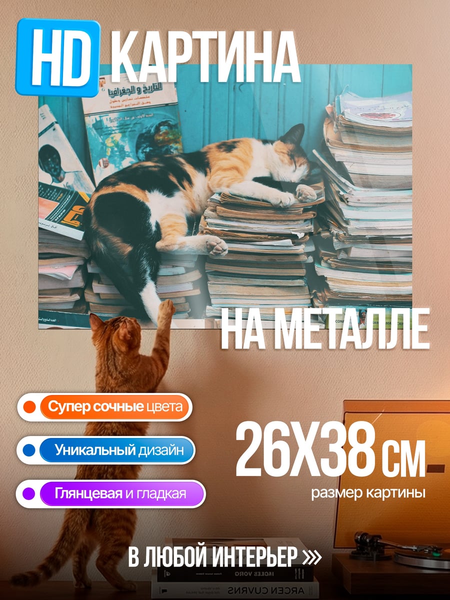 Картина на металле Кот на книгах