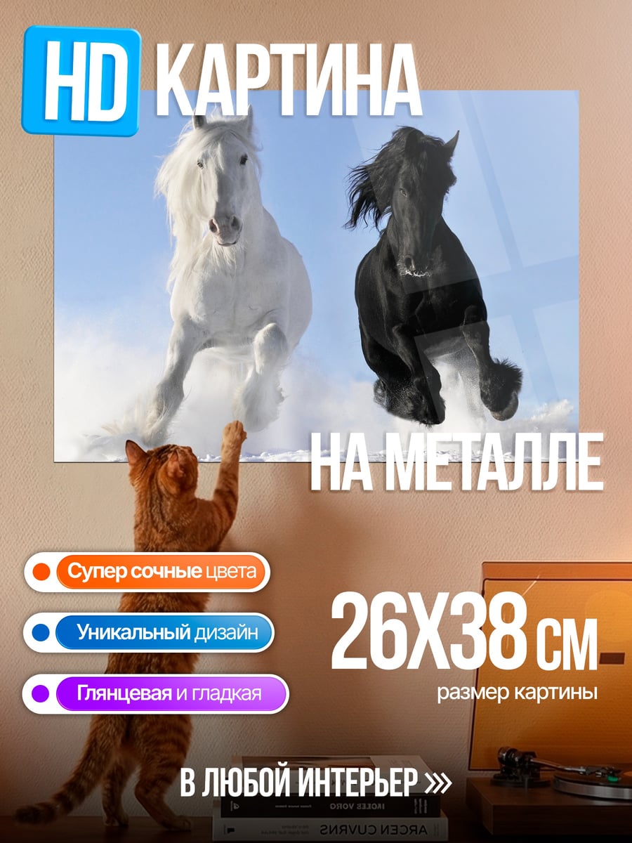 Картина на металле Белый и черный кони