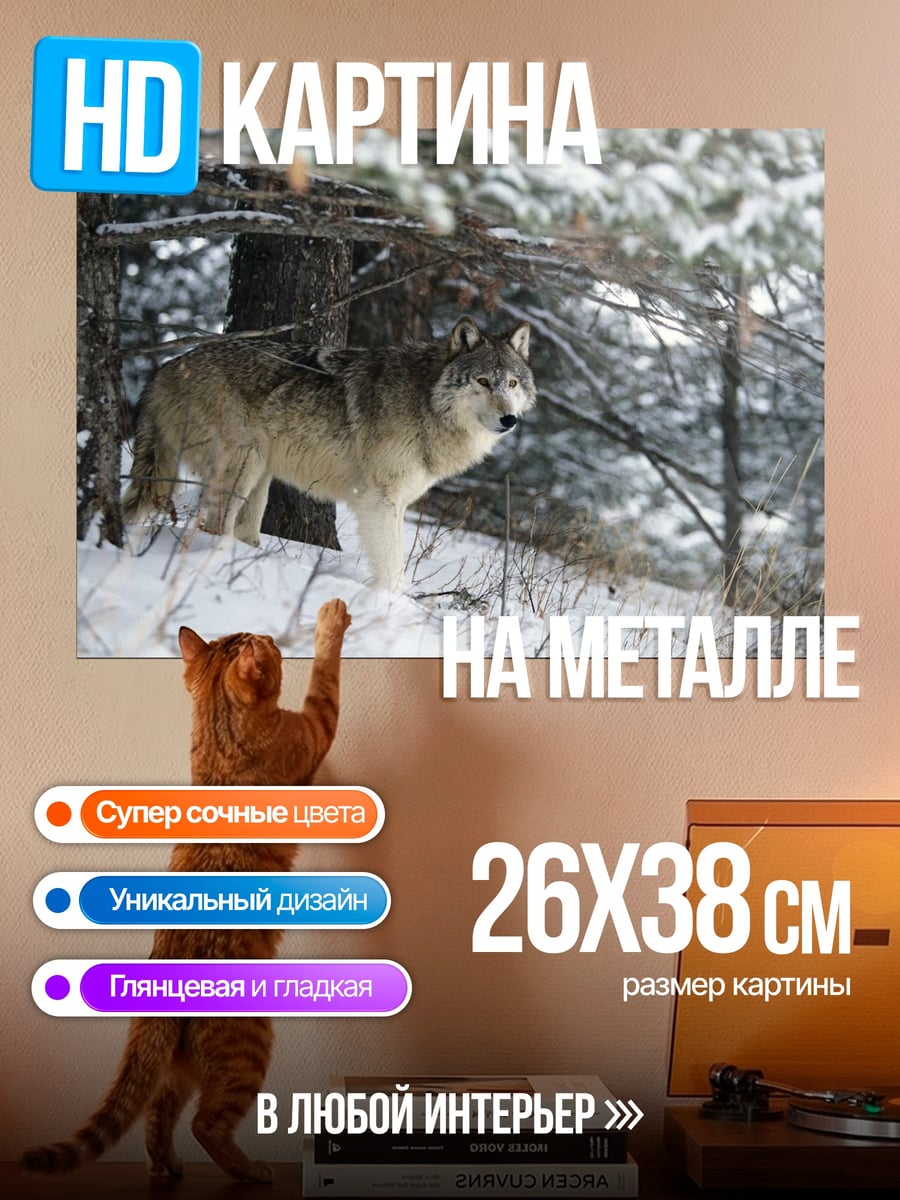 Картина на металле волк в зимнем лесу