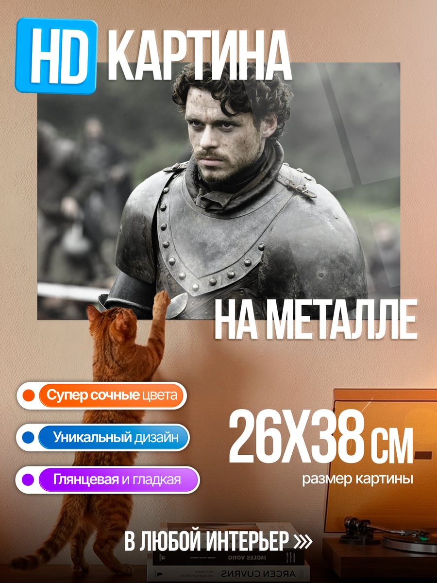 Картина на металле Робб Старк в доспехах