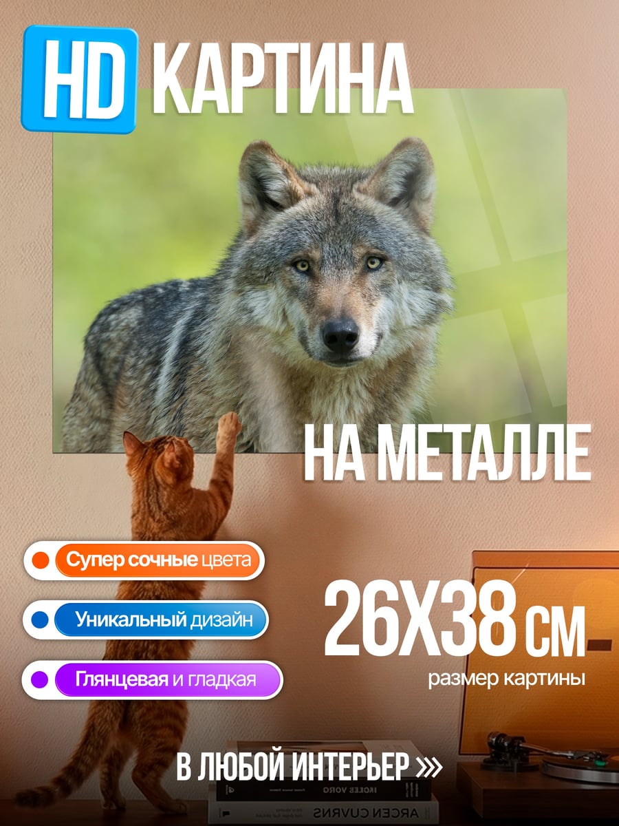 Картина на металле Портрет волка