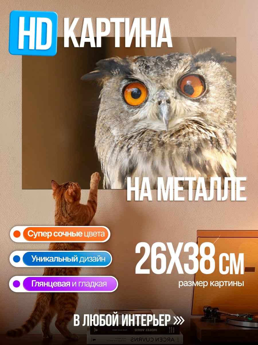Картина на металле Филин с оранжевыми глазами