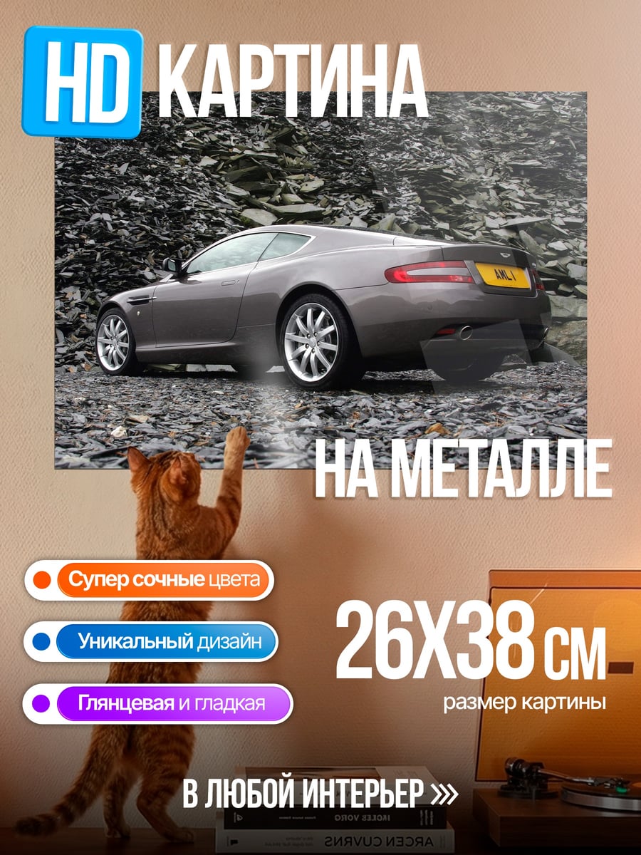Картина на металле Спортивное купе