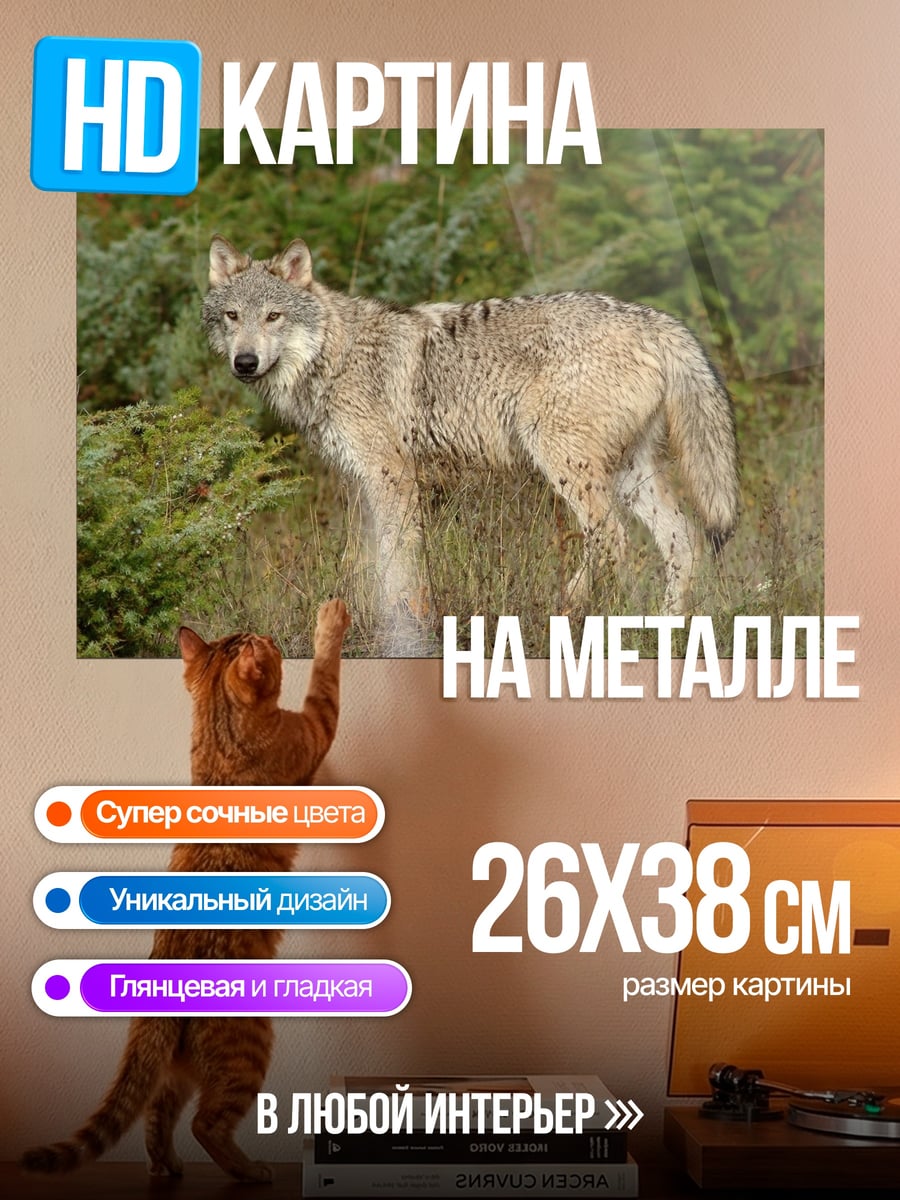 Картина на металле Лесной волк