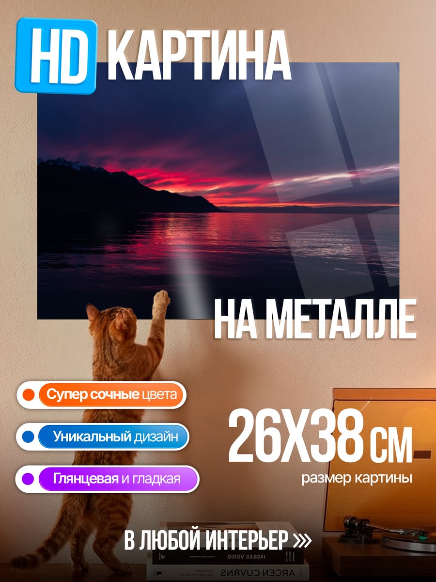 Картина на металле темный закат