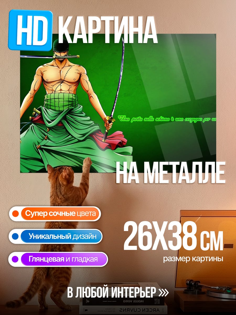 Картина на металле Зоро мечник