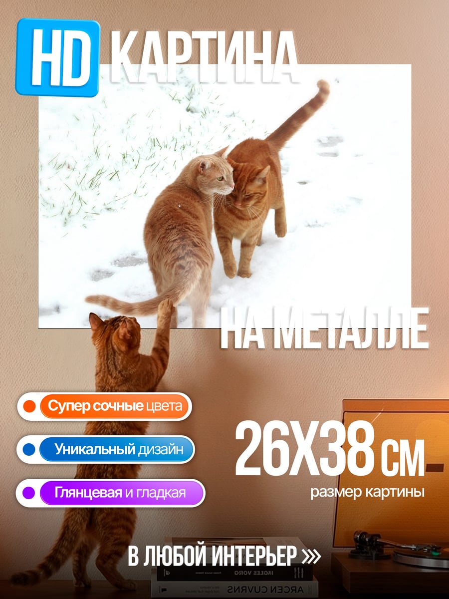 Картина на металле Рыжие коты в снегу