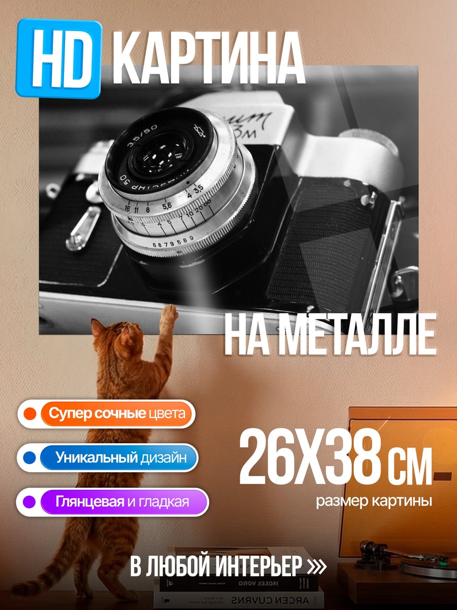 Картина на металле Ретро камера