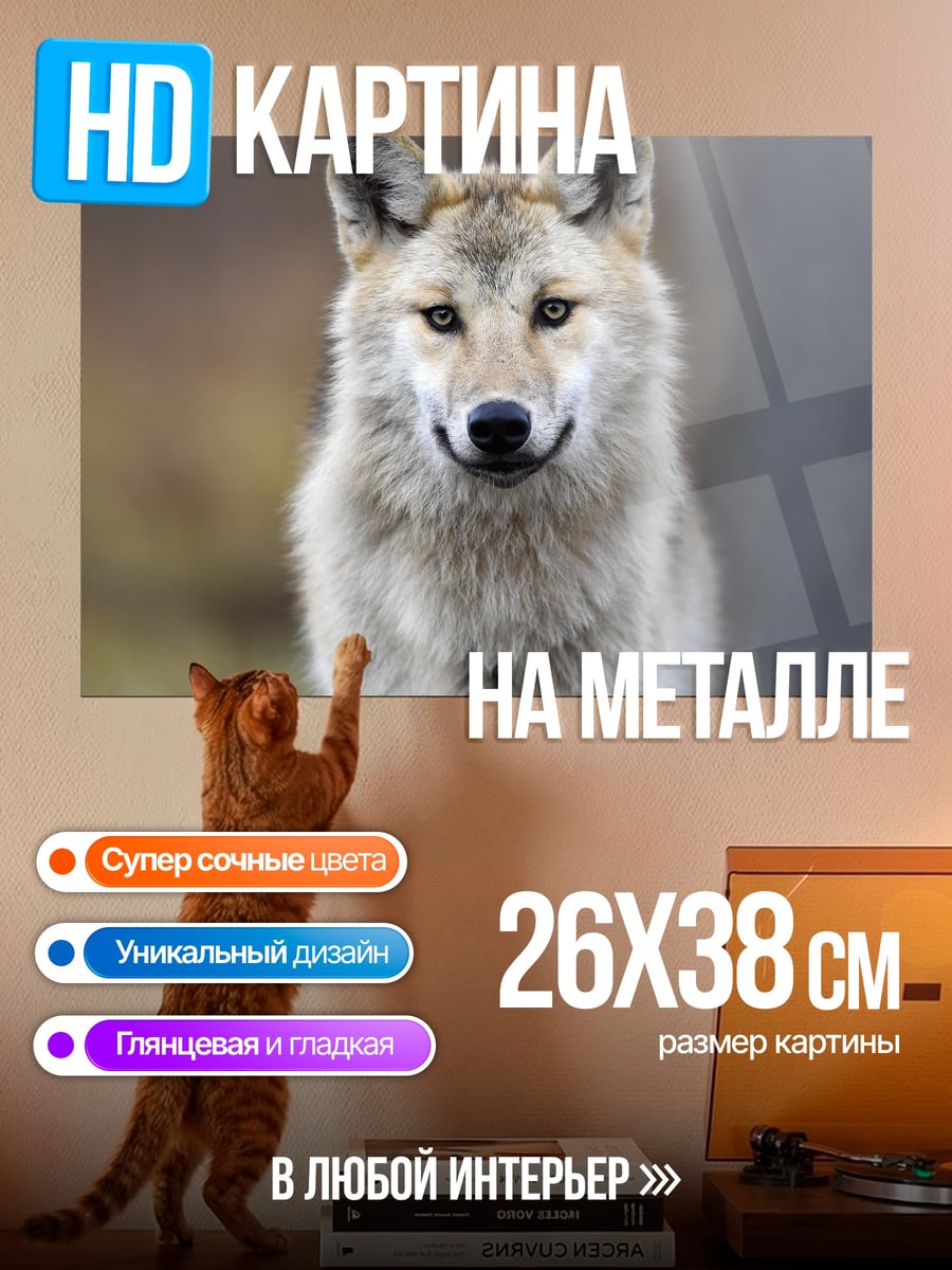 Картина на металле Волк смотрит