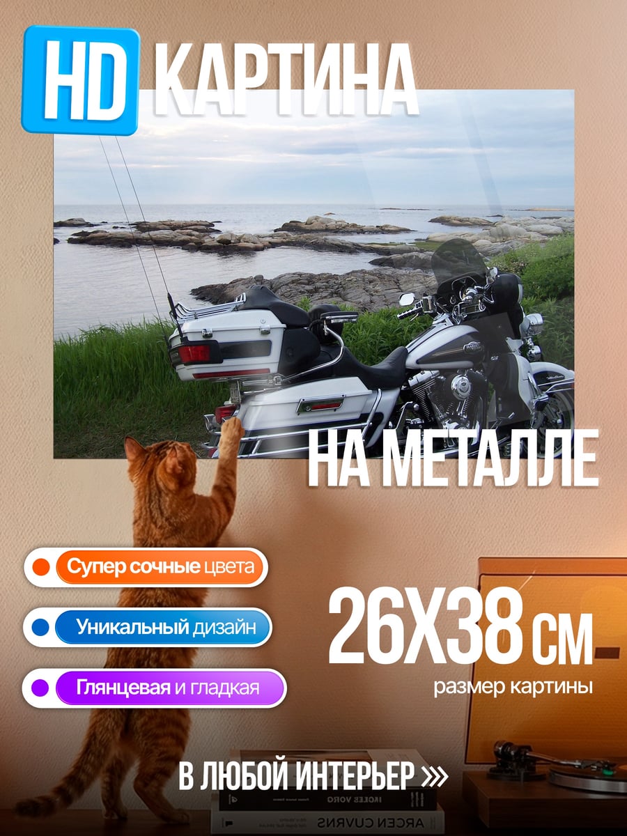 Картина на металле Мотоцикл у моря