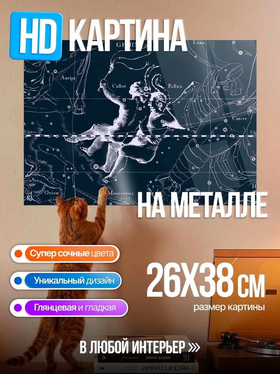 Картина на металле Звезды Близнецов