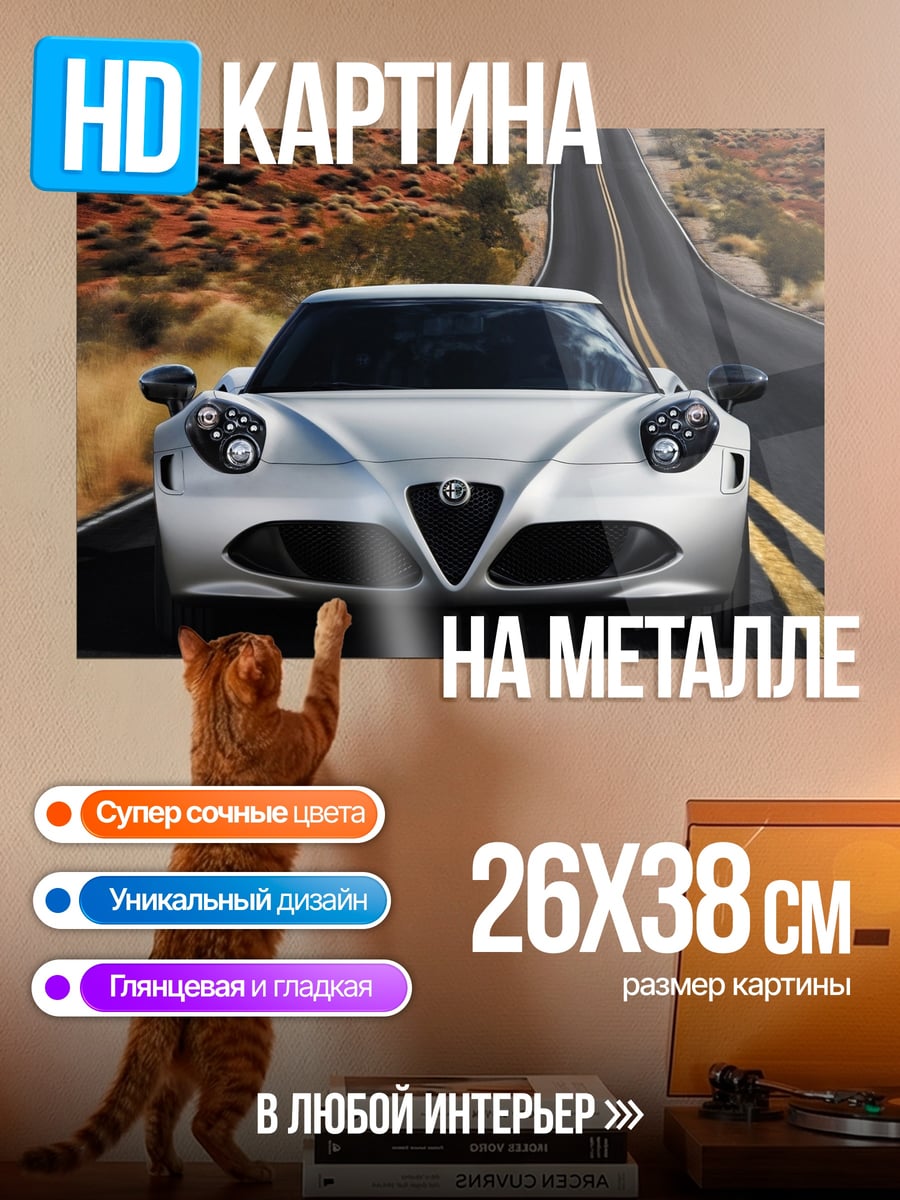 Картина на металле Спортивный автомобиль на дороге