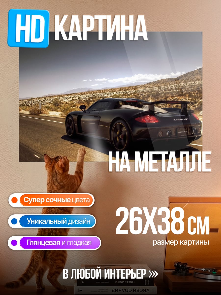 Картина на металле Черный спорткар в пустыне