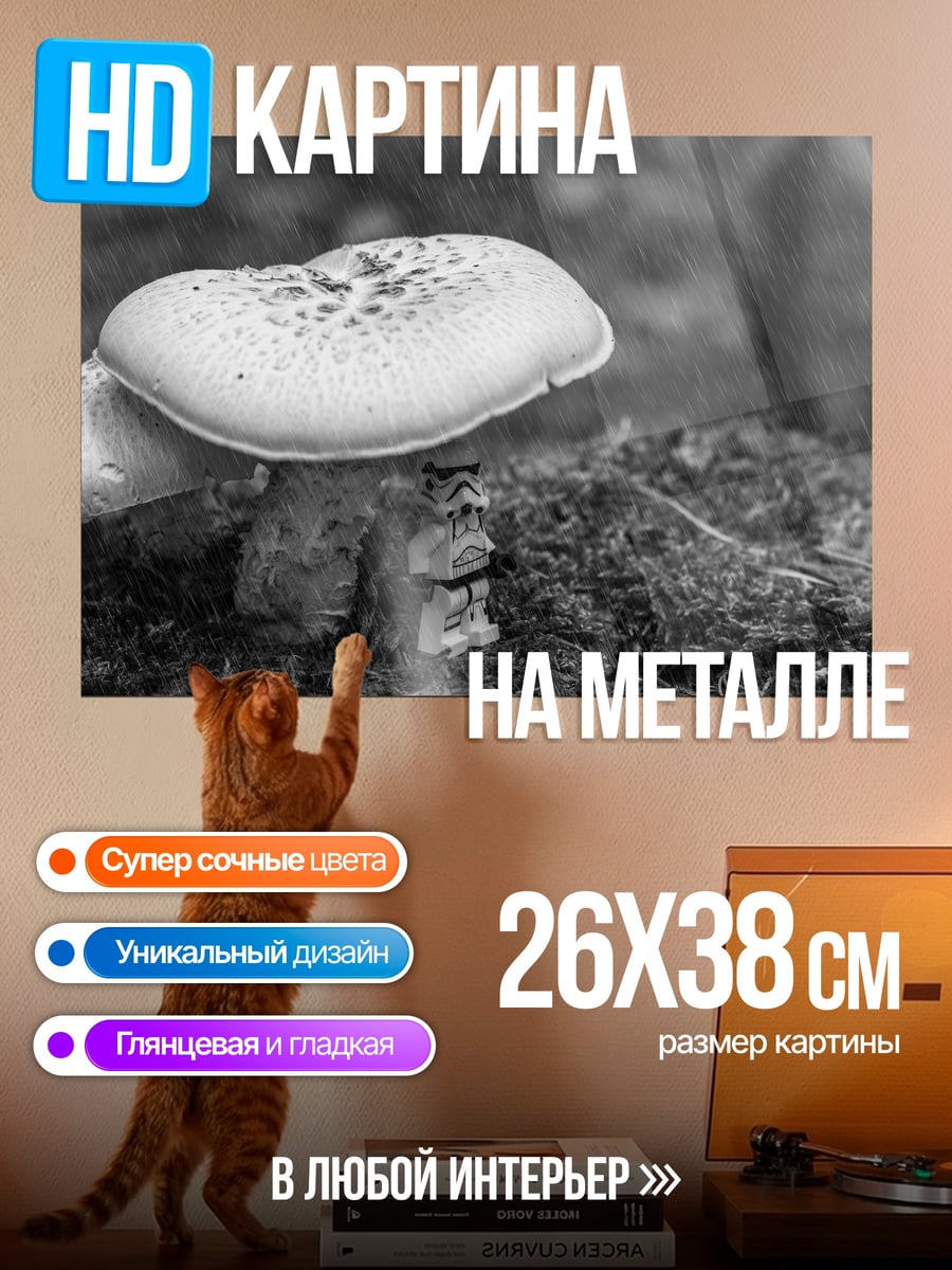 Картина на металле Гриб на мху
