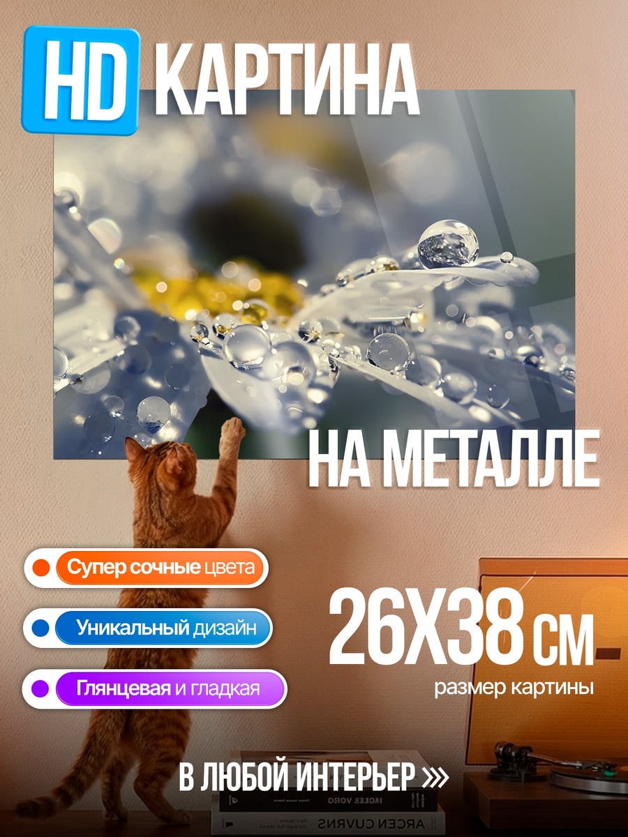 Картина на металле Роса на ромашке