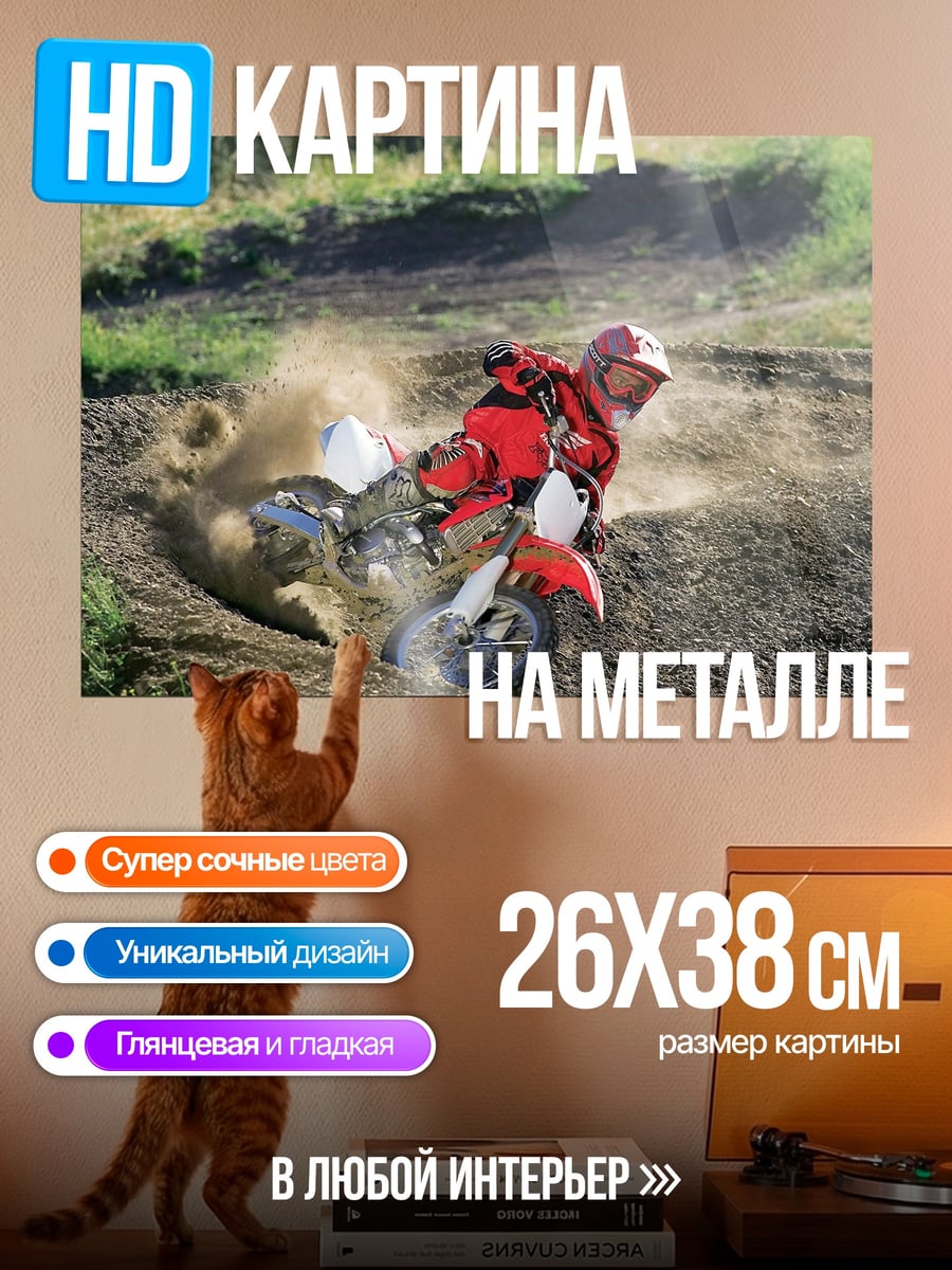 Картина на металле Гонщик на мотоцикле
