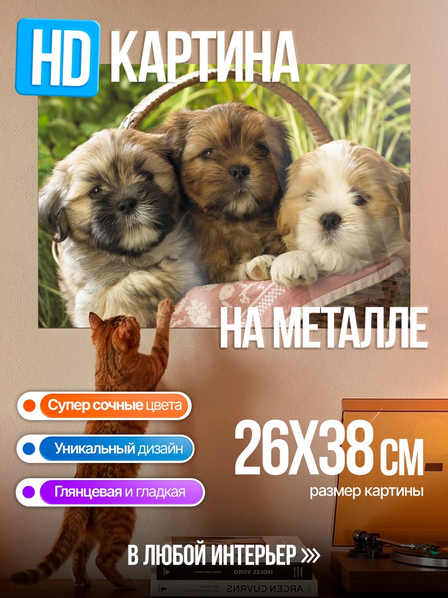 Картина на металле Щенки в корзине