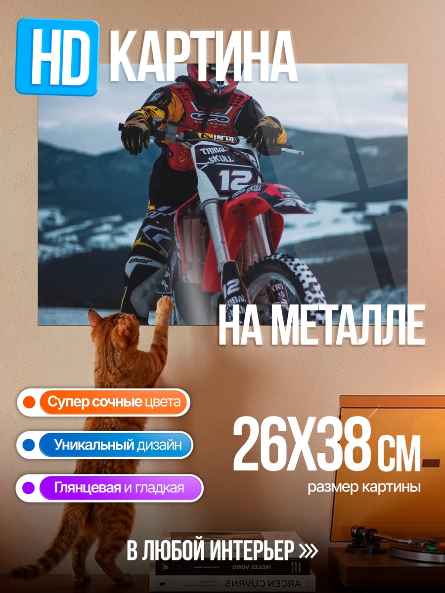 Картина на металле мотоциклист в снегу