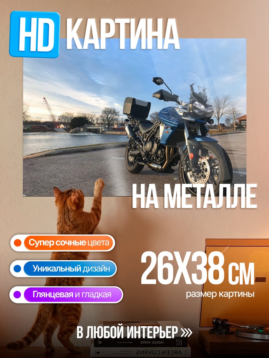 Картина на металле синий мотоцикл у воды