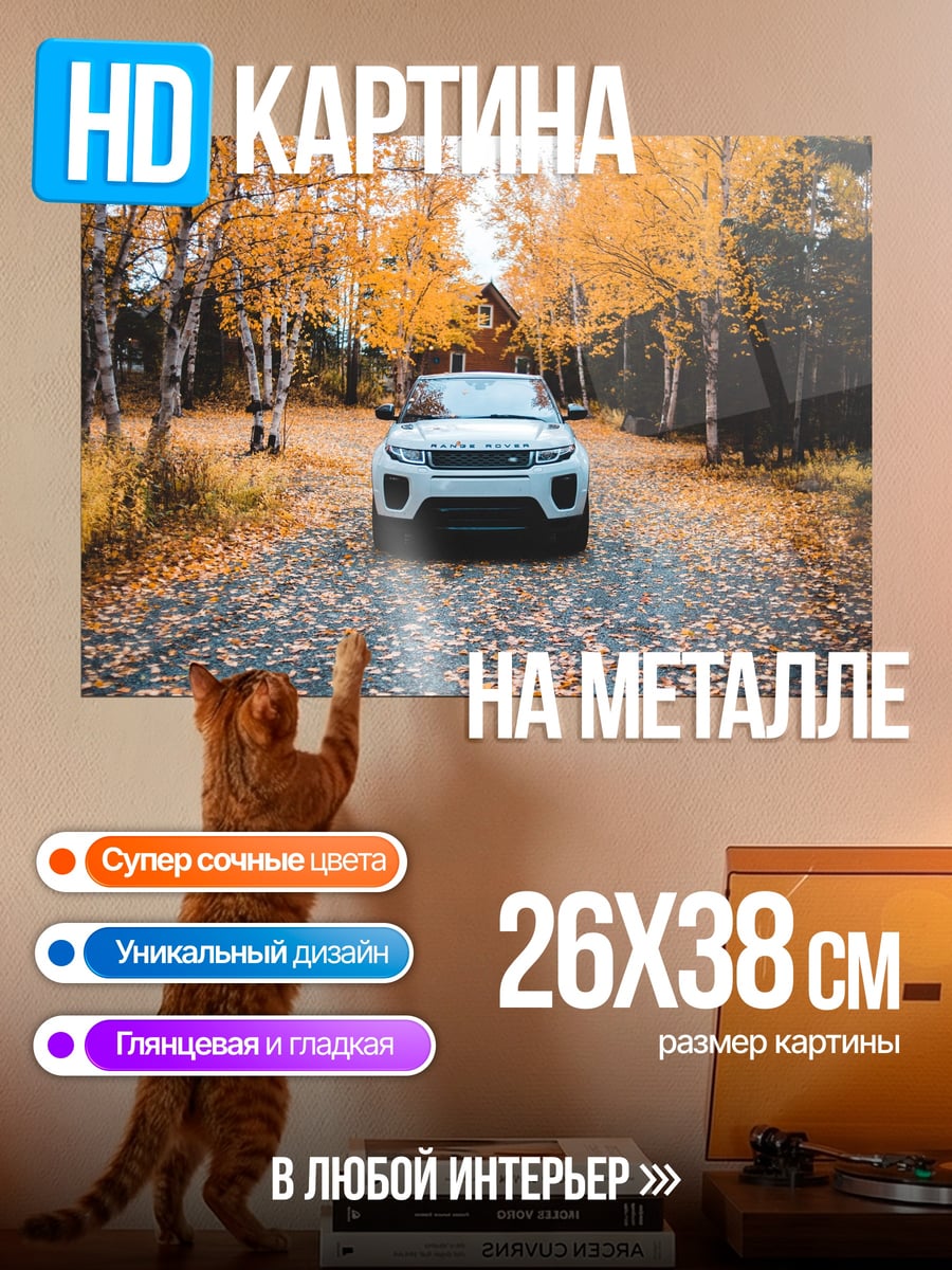 Картина на металле Автомобиль в осеннем лесу