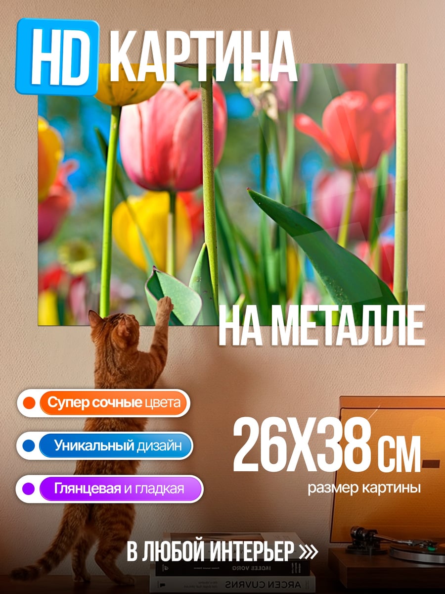 Картина на металле Цветы тюльпаны весна