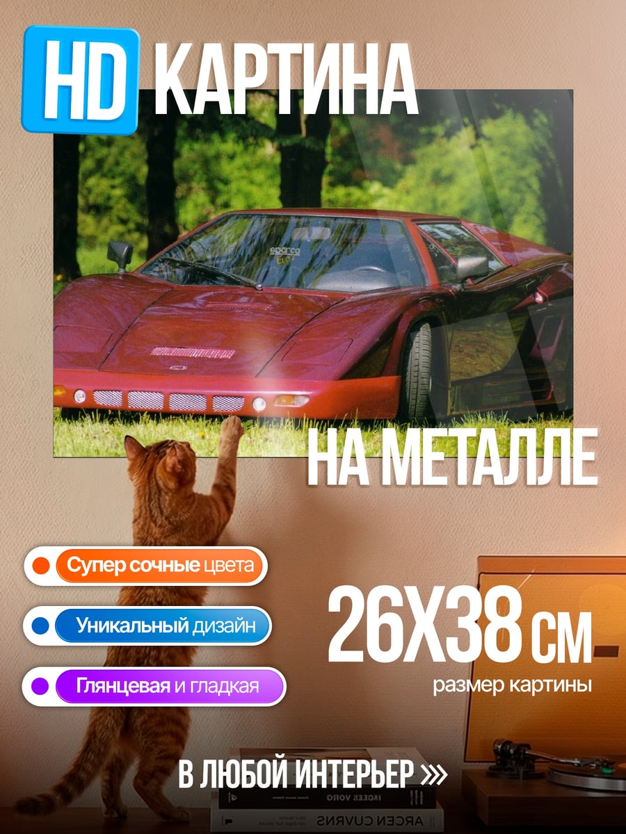 Картина на металле спортивное авто трава