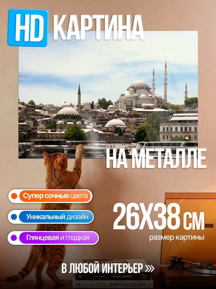 Картина на металле Стамбул мечети