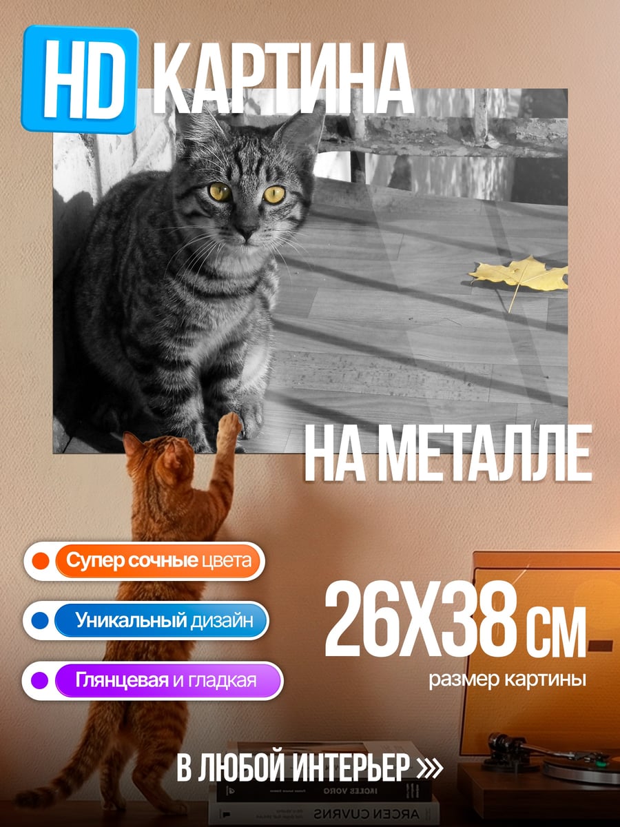 Картина на металле Кот с желтыми глазами