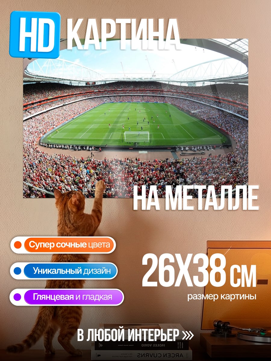 Картина на металле футбольный стадион