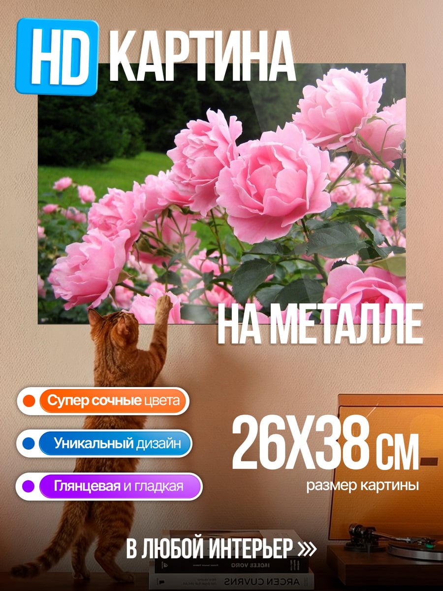 Картина на металле розовые розы