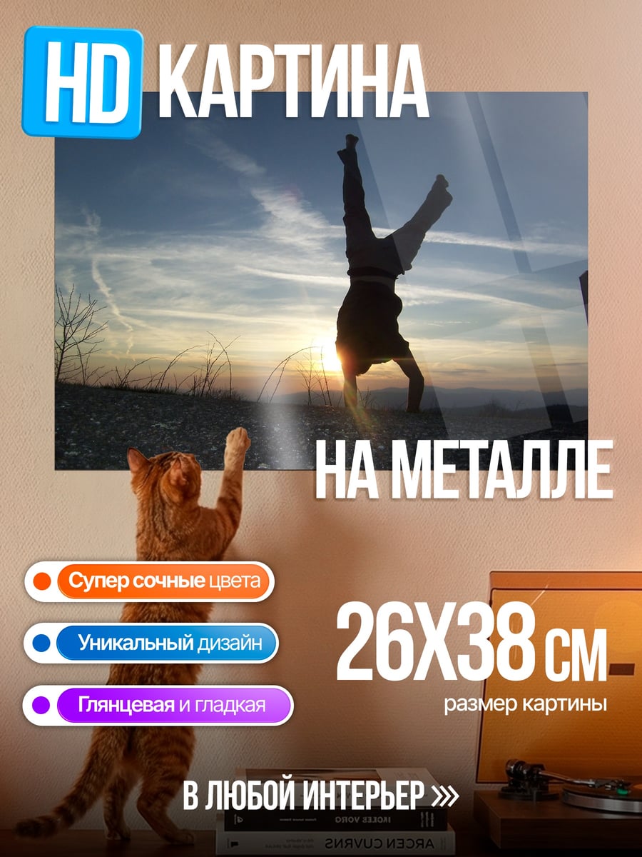 Картина на металле Закат акробата