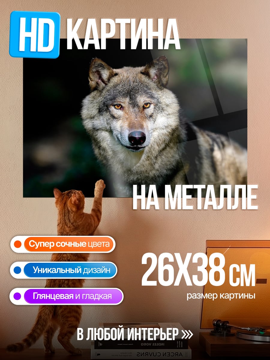 Картина на металле Одинокий волк