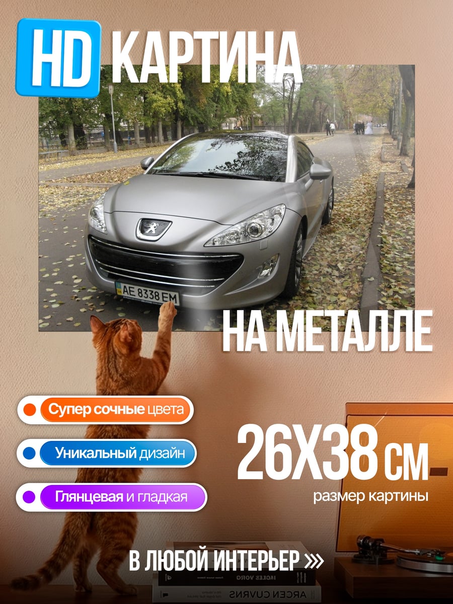 Картина на металле Peugeot 408