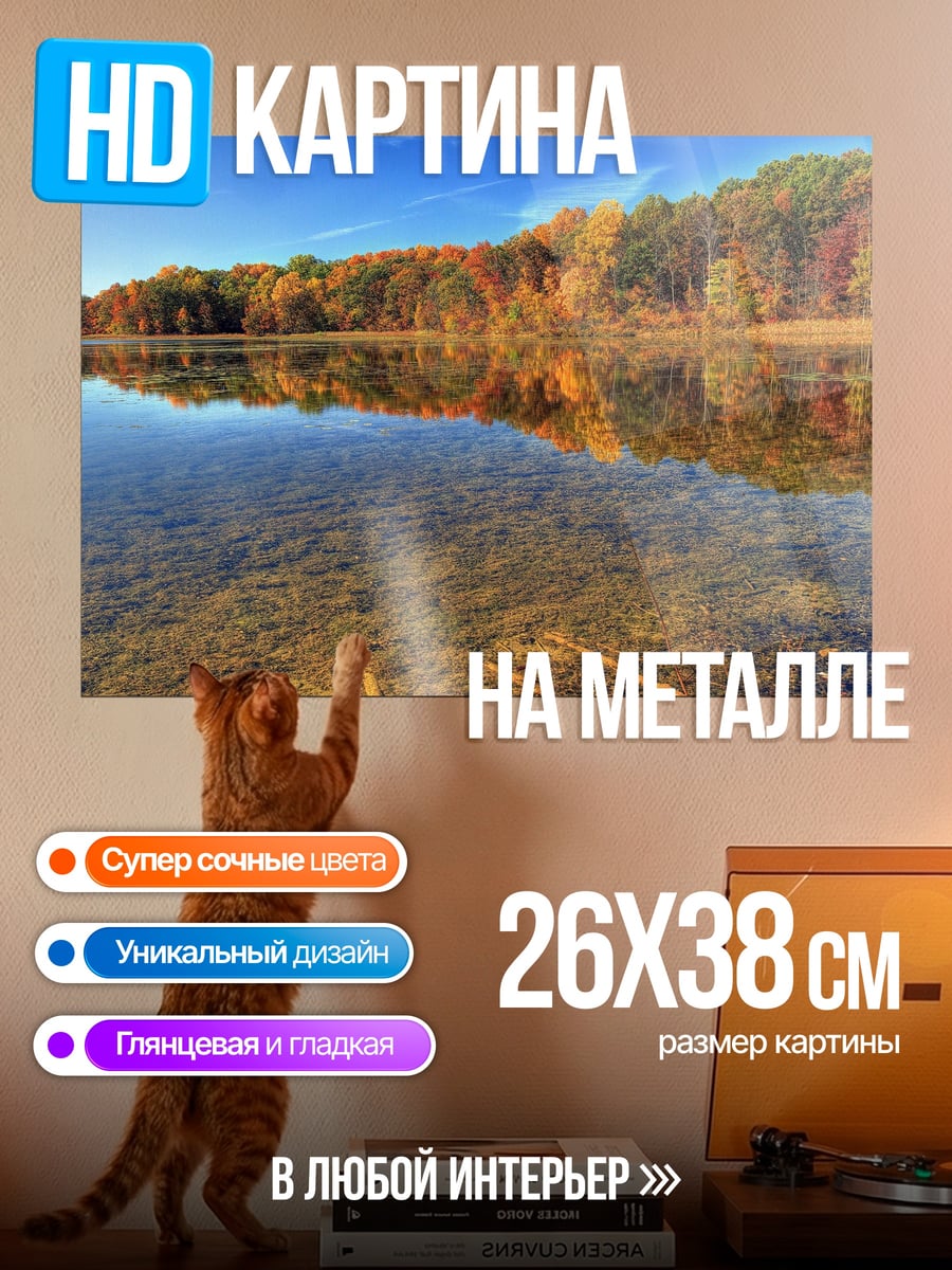 Картина на металле осенний лес озеро